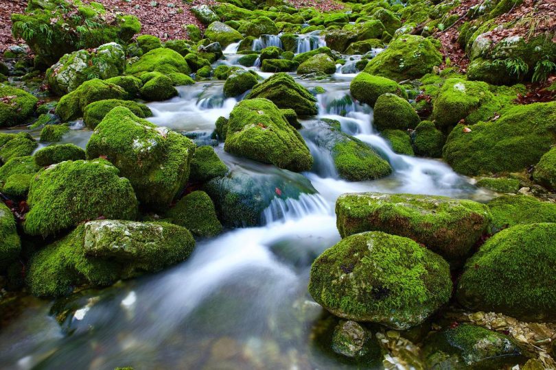 spring-water-and-mineral-water-what-is-the-difference-allo-culture